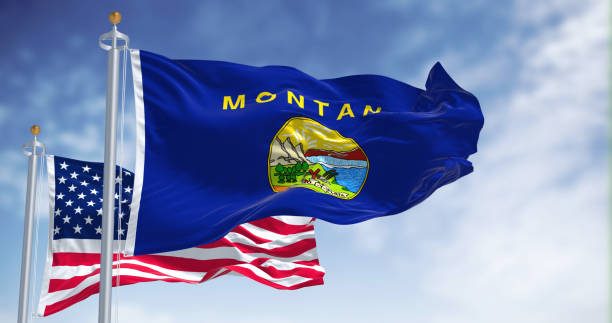 Montana Licensing Qualifier Placement