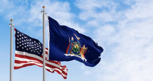 New York Licensing Qualifier Placement